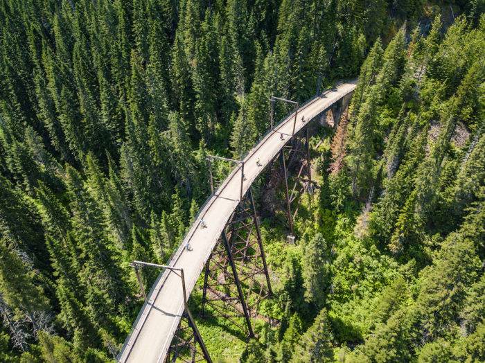 Riding a bike on a bridge through a forest.