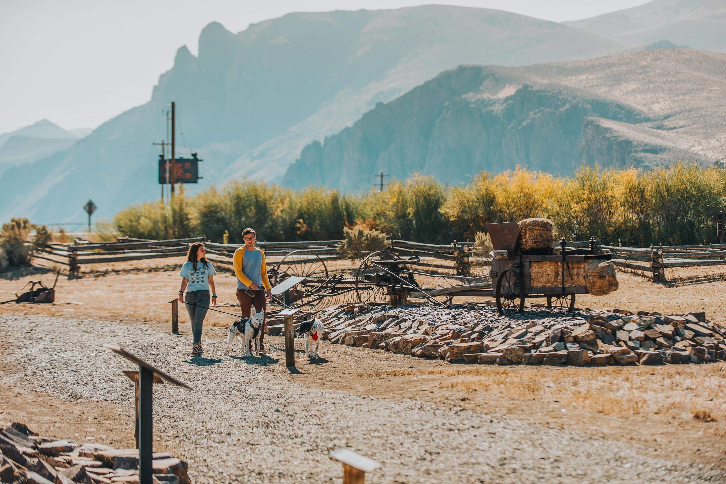 a couple walking their two dogs on a gravel road at a historical site with a old-fashioned harvester, with trees and mountains in the background