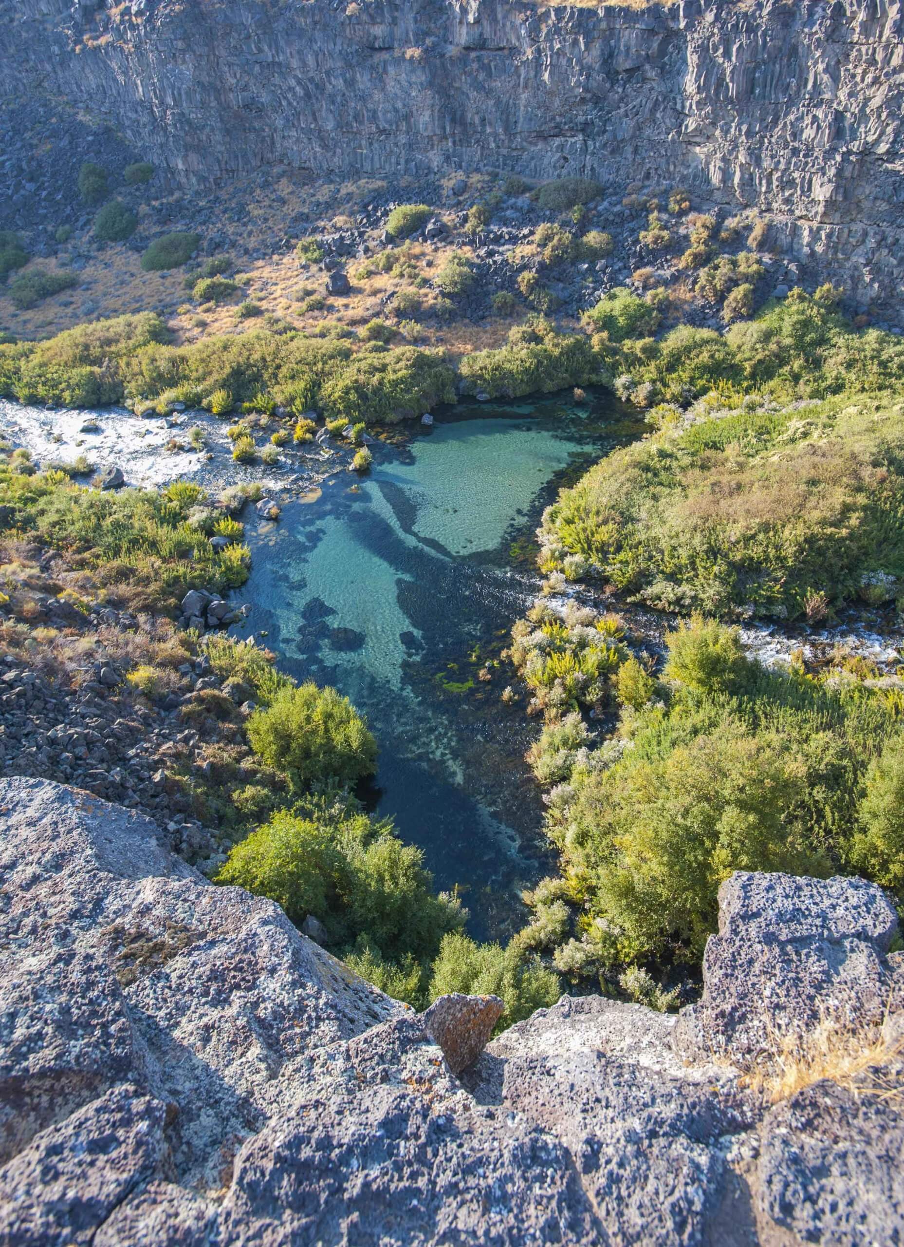 An overhead view of a body of water surrounded by trees and rock formations in Earl M. Hardy Box Canyon Springs Nature Preserve.