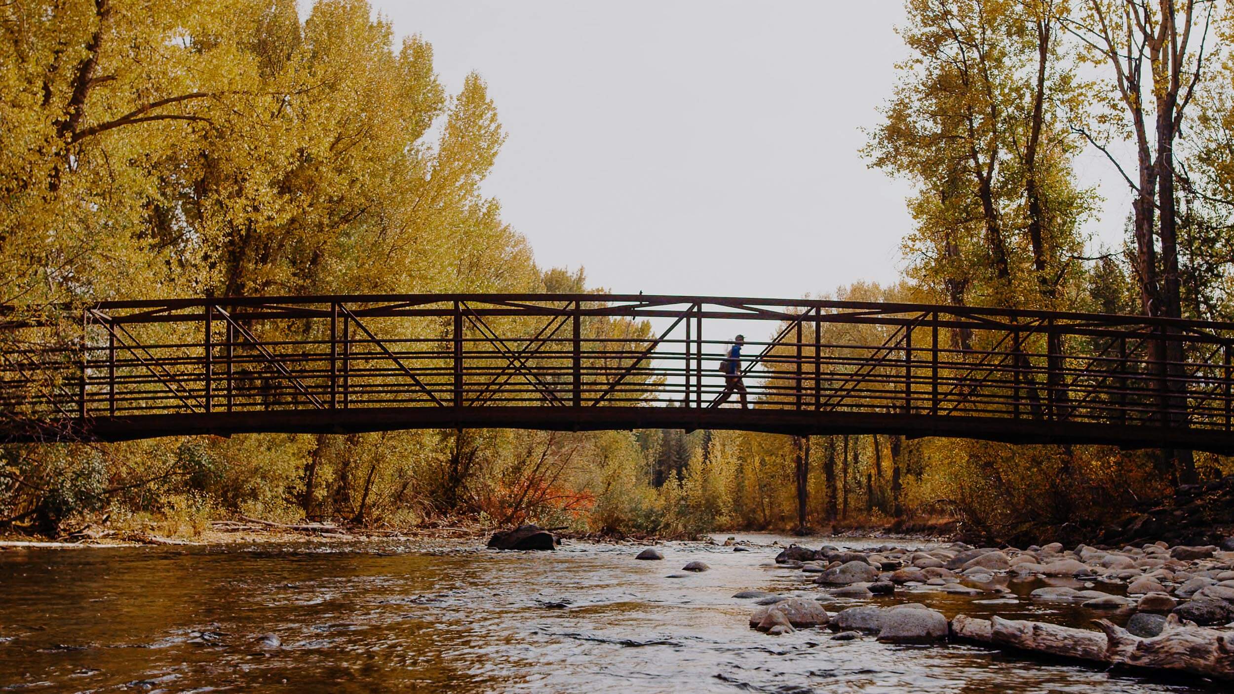 a person walking across a bridge spanning a river lined with trees