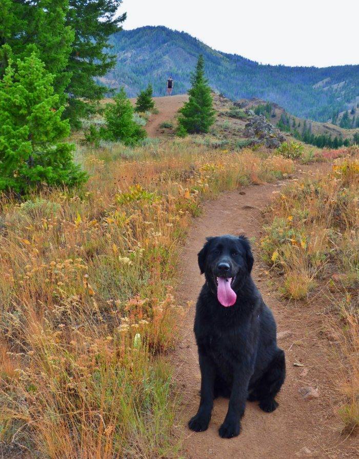 Nothing but smiles for Stella at Chocolate Gulch.