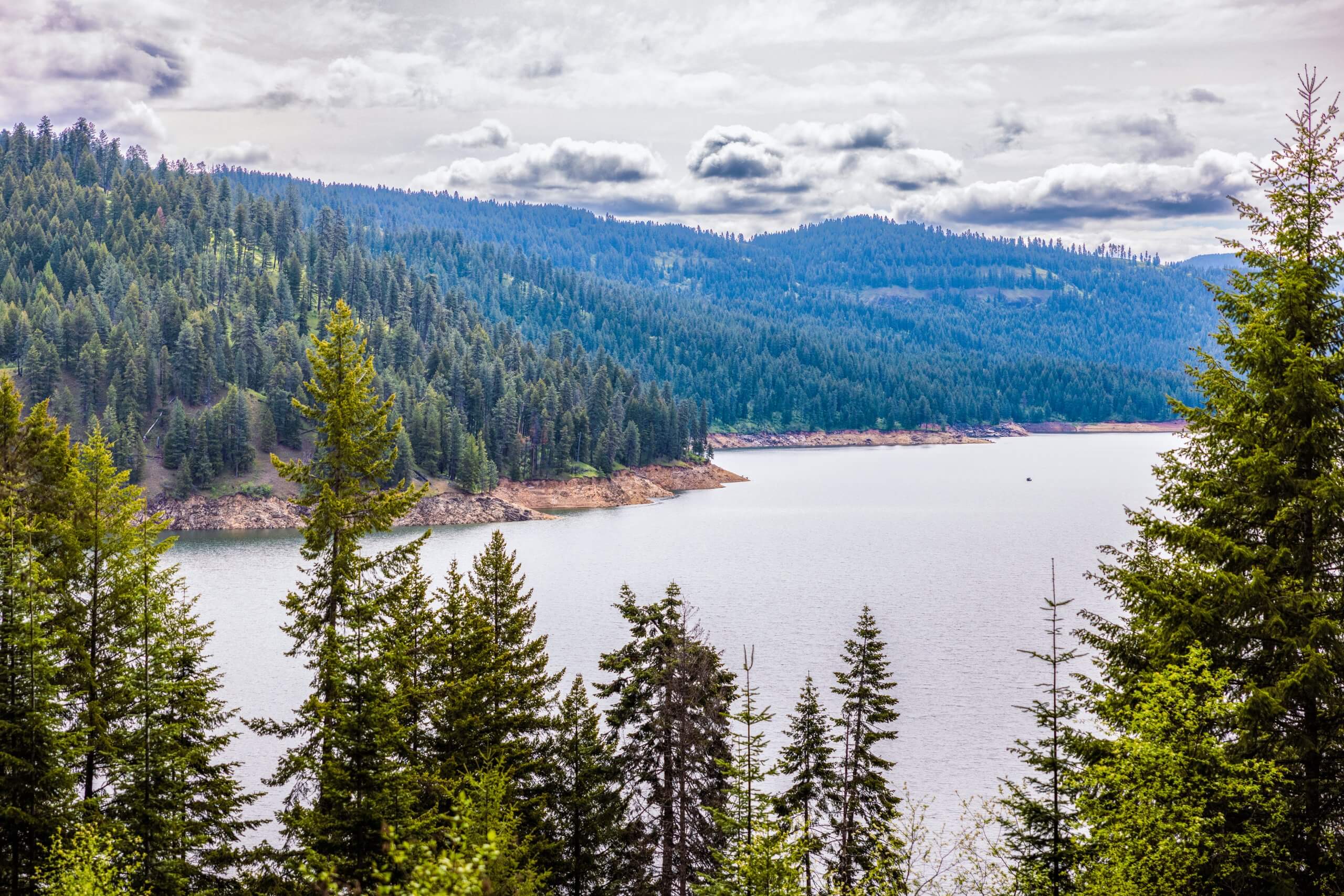 Overlooking Dworshak Reservoir surrounded by trees at the Dworshak State Park.