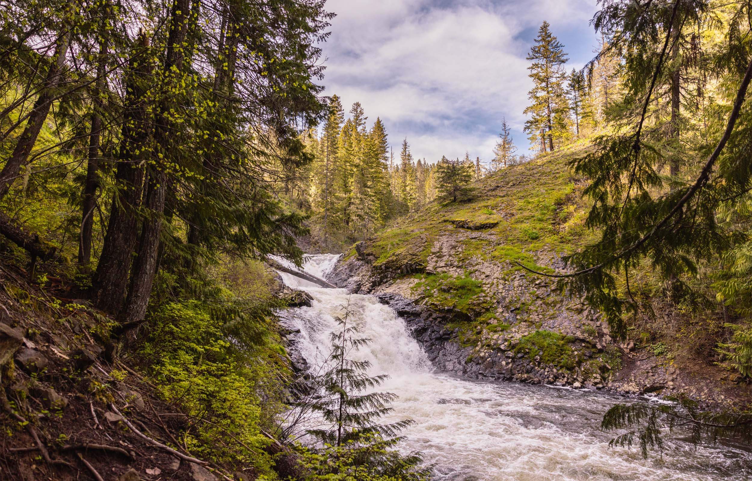 Upper Elk Creek Falls waterfall with forested greenery surrounding.