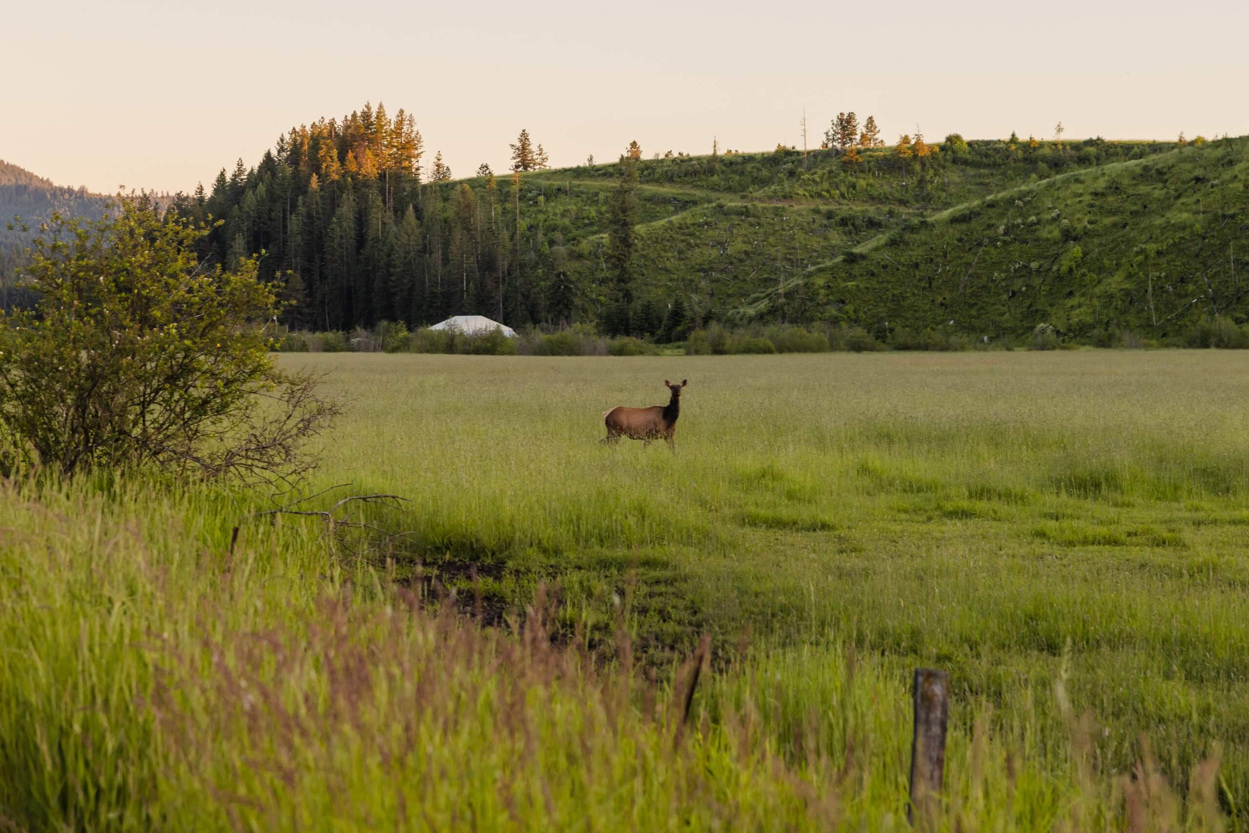 White Pine Scenic Byway