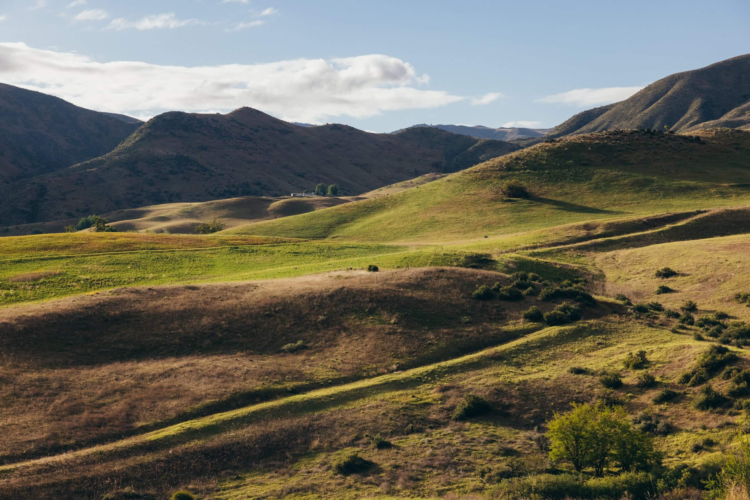 a vast green landscape with mountains in the background