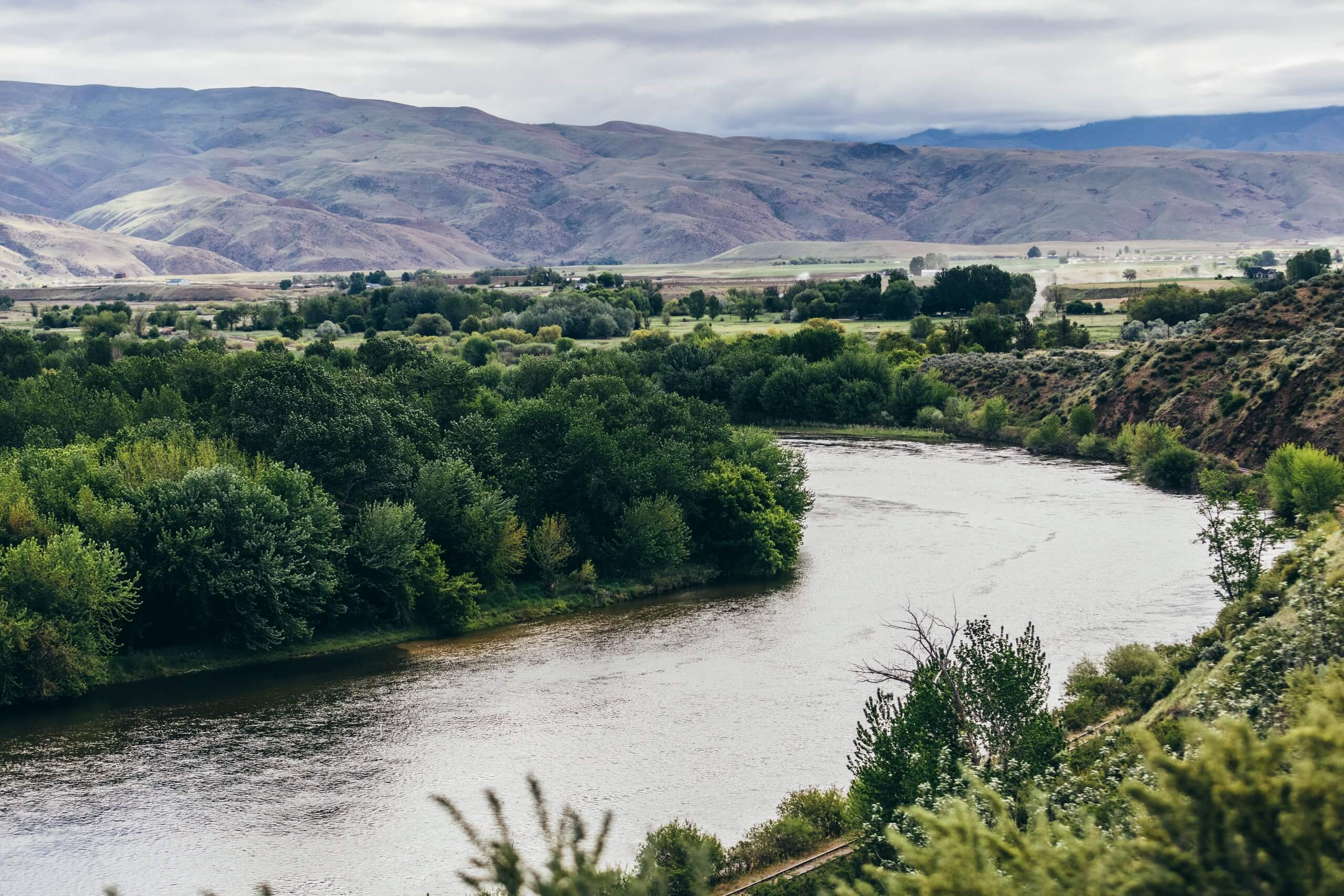 side view of a river lined with trees with mountains in the background