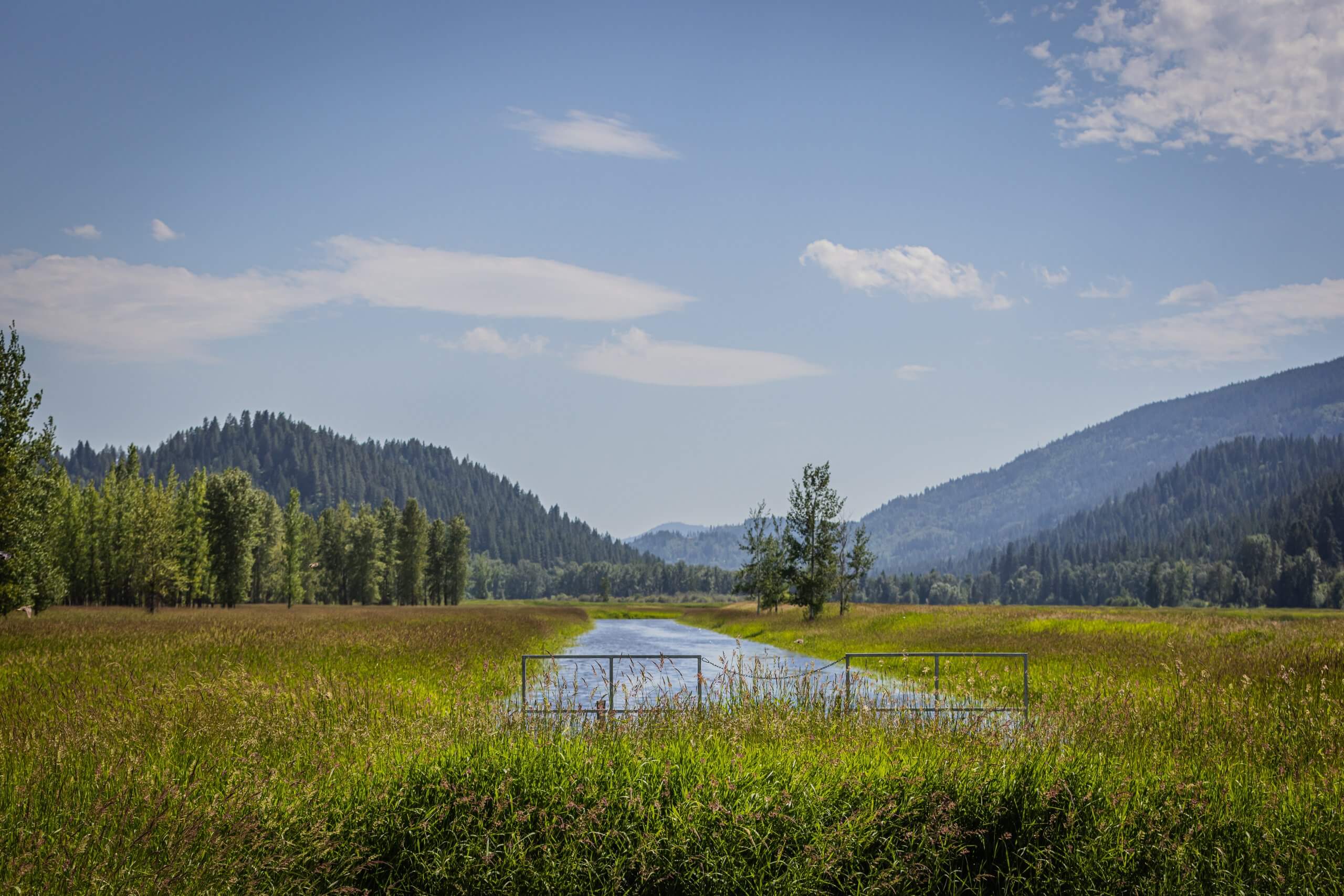 A scenic shot of the Kootenai National Wildlife Refuge in spring.