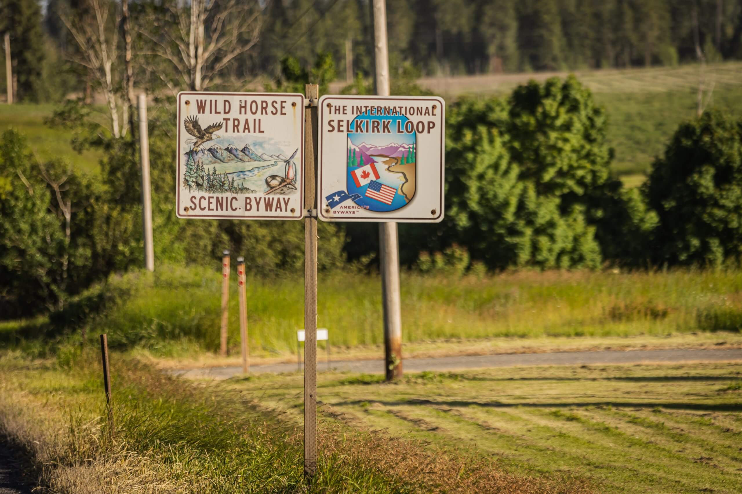 One sign marking the Wild Horse Trail Scenic Byway and a second sign next to it marking the International Selkirk Loop.