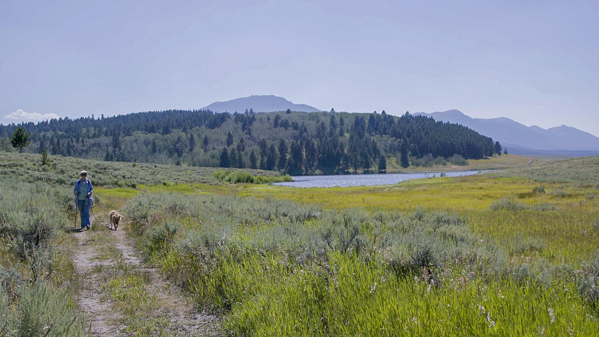 A woman walks her dog at Henrys Lake State Park.