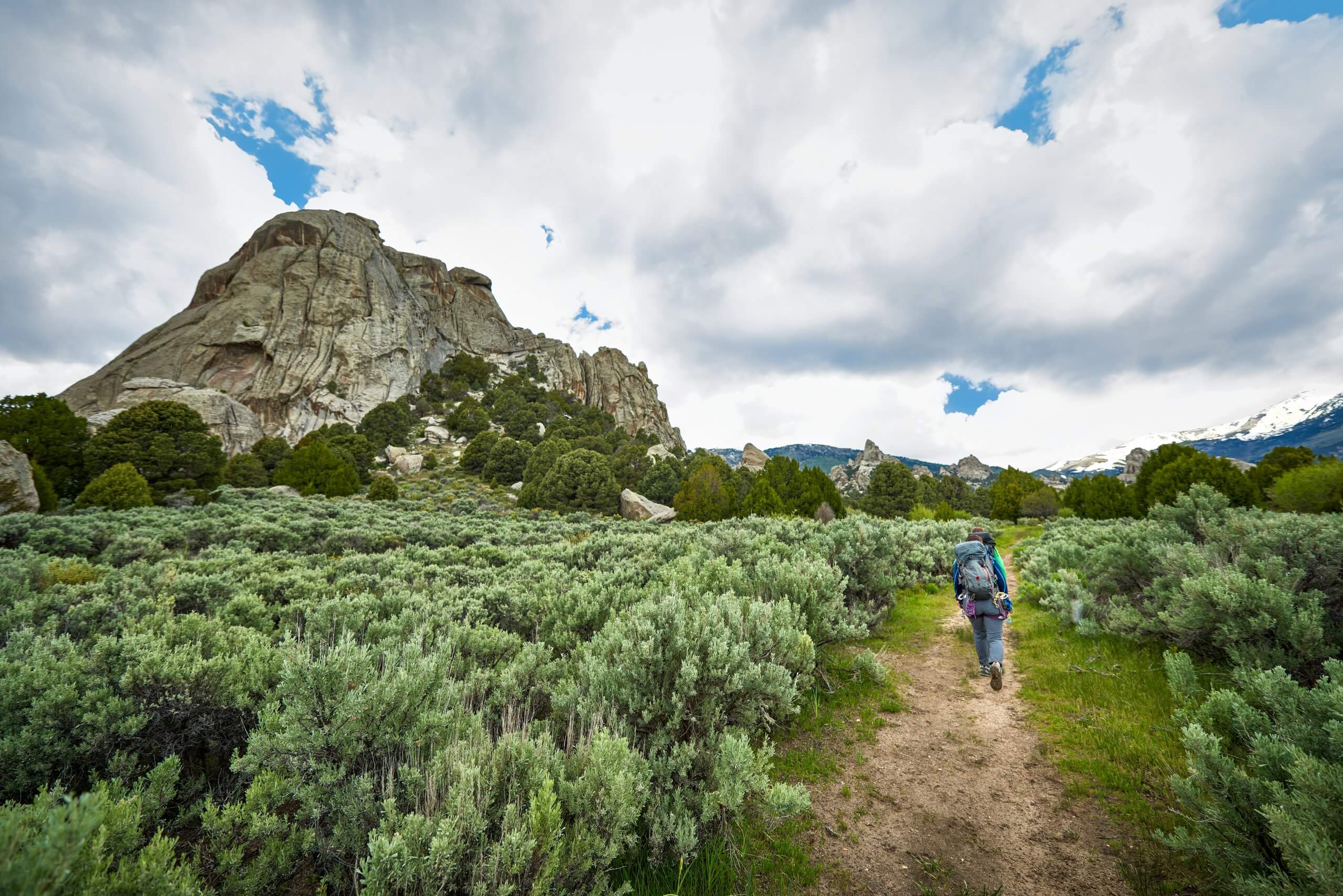 A person hiking through foliage at Castle Rocks State Park.