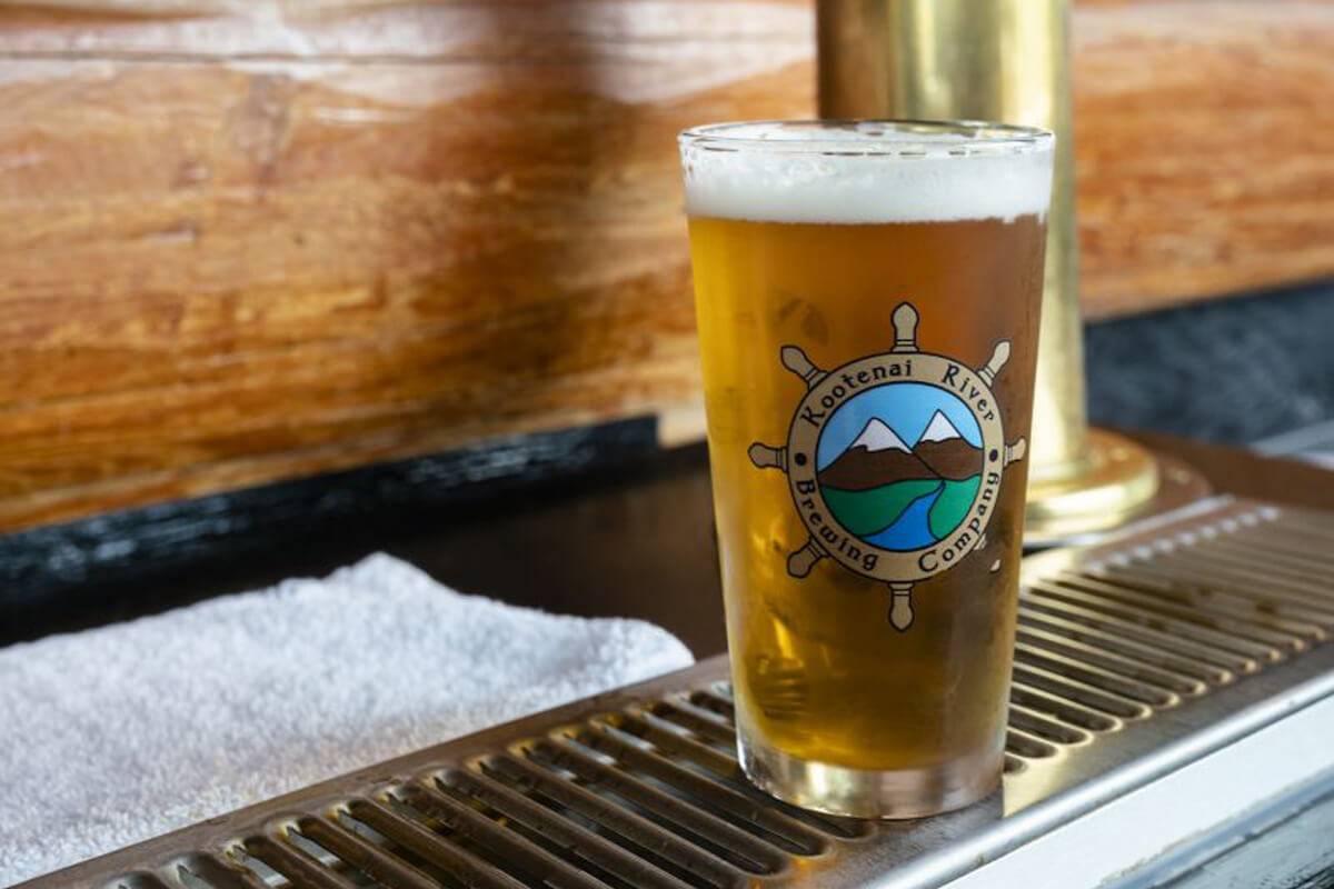 Freshly poured beer in pint glass sitting under beer tap