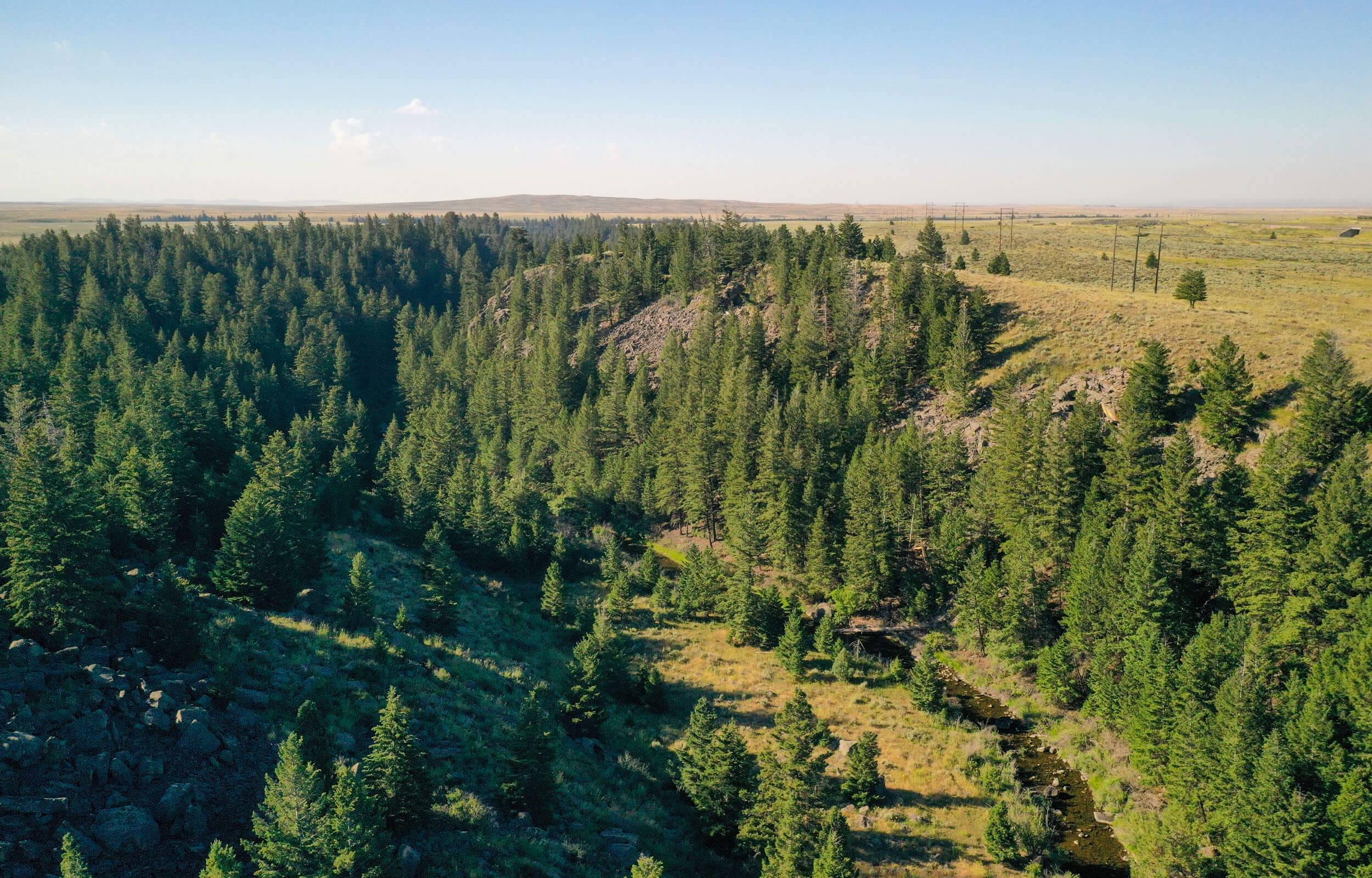 Aerial view of Beaver Creek surrounded by evergreen trees.