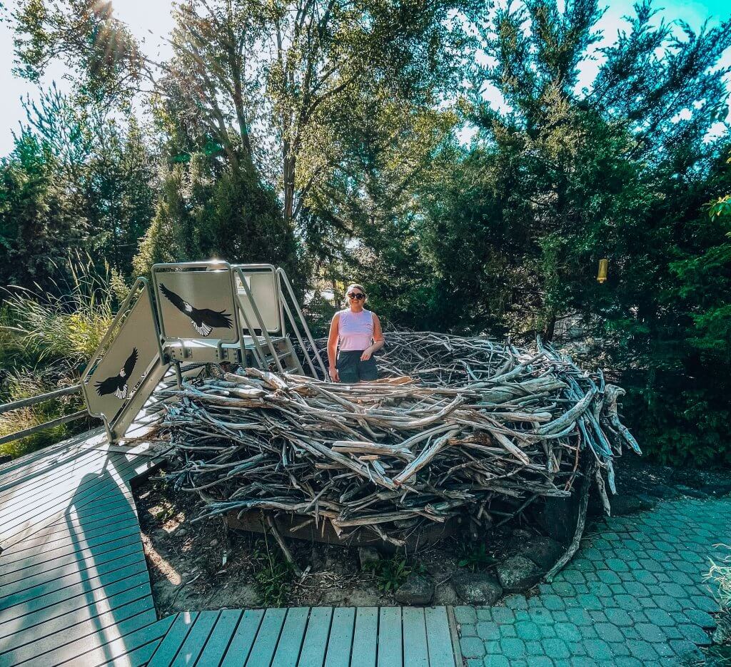 a woman stands inside a giant bird next at the MK Nature Center in Boise.