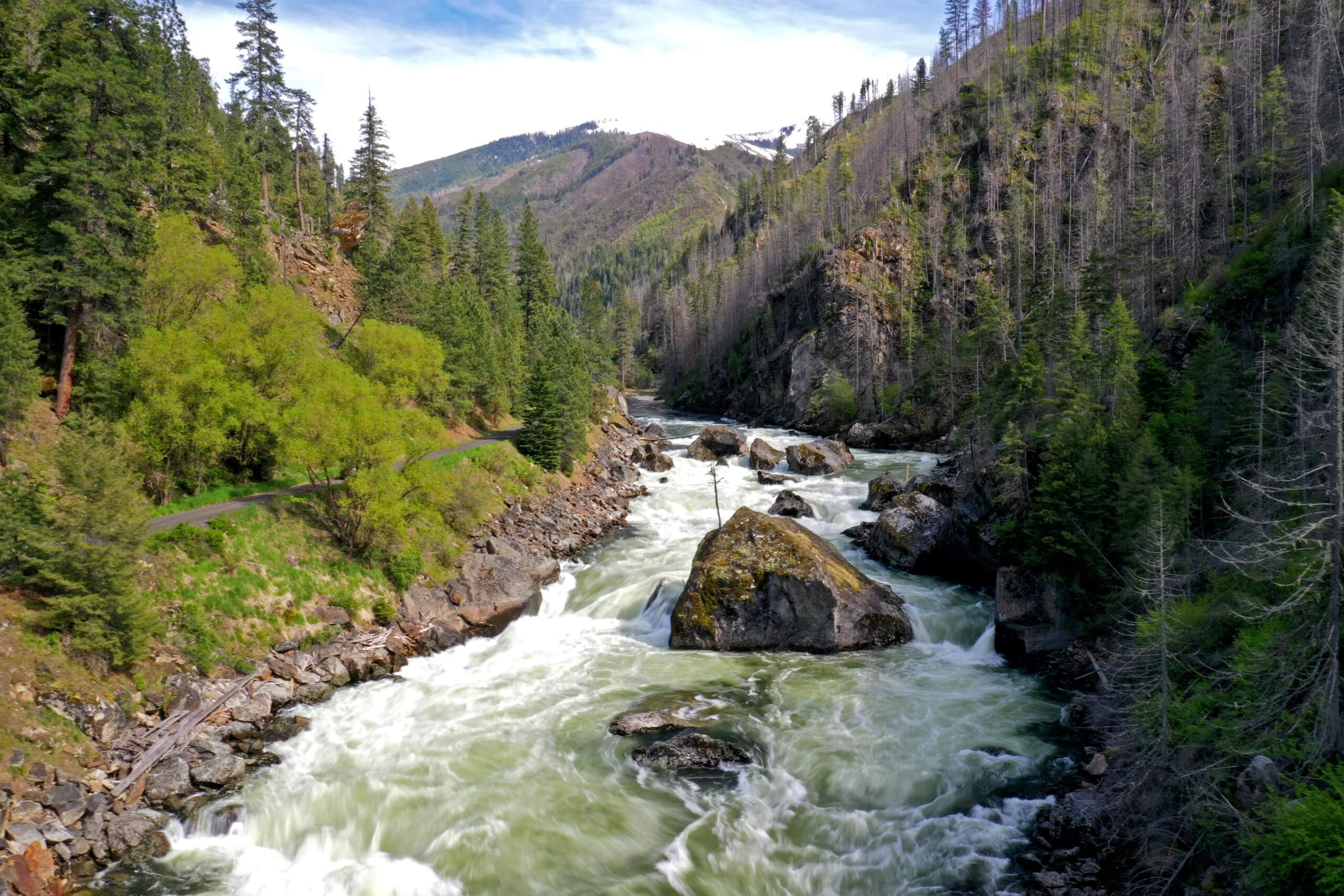 Selway River with mountain backdrop