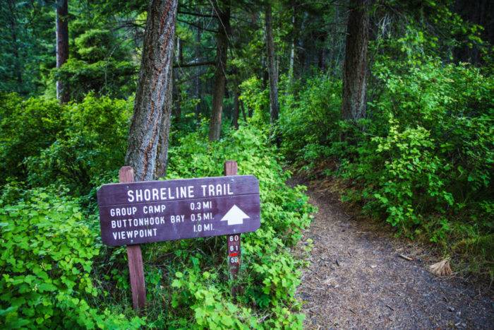 View of the Shoreline Loop Trail and trail sign within a forest of trees at Farragut State Park.