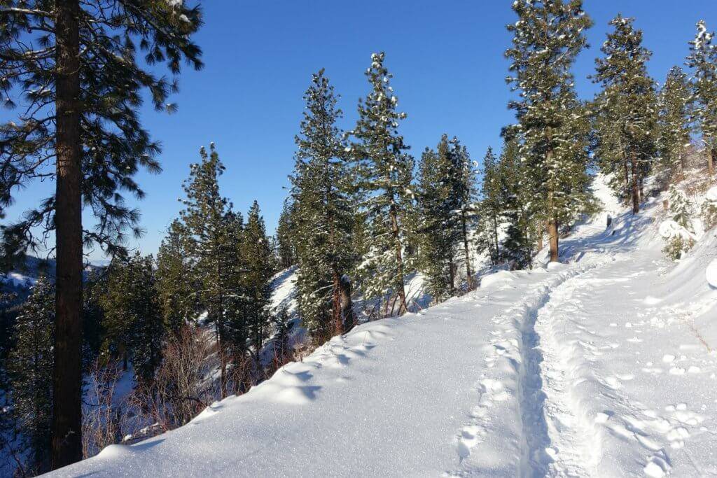 snowy trail