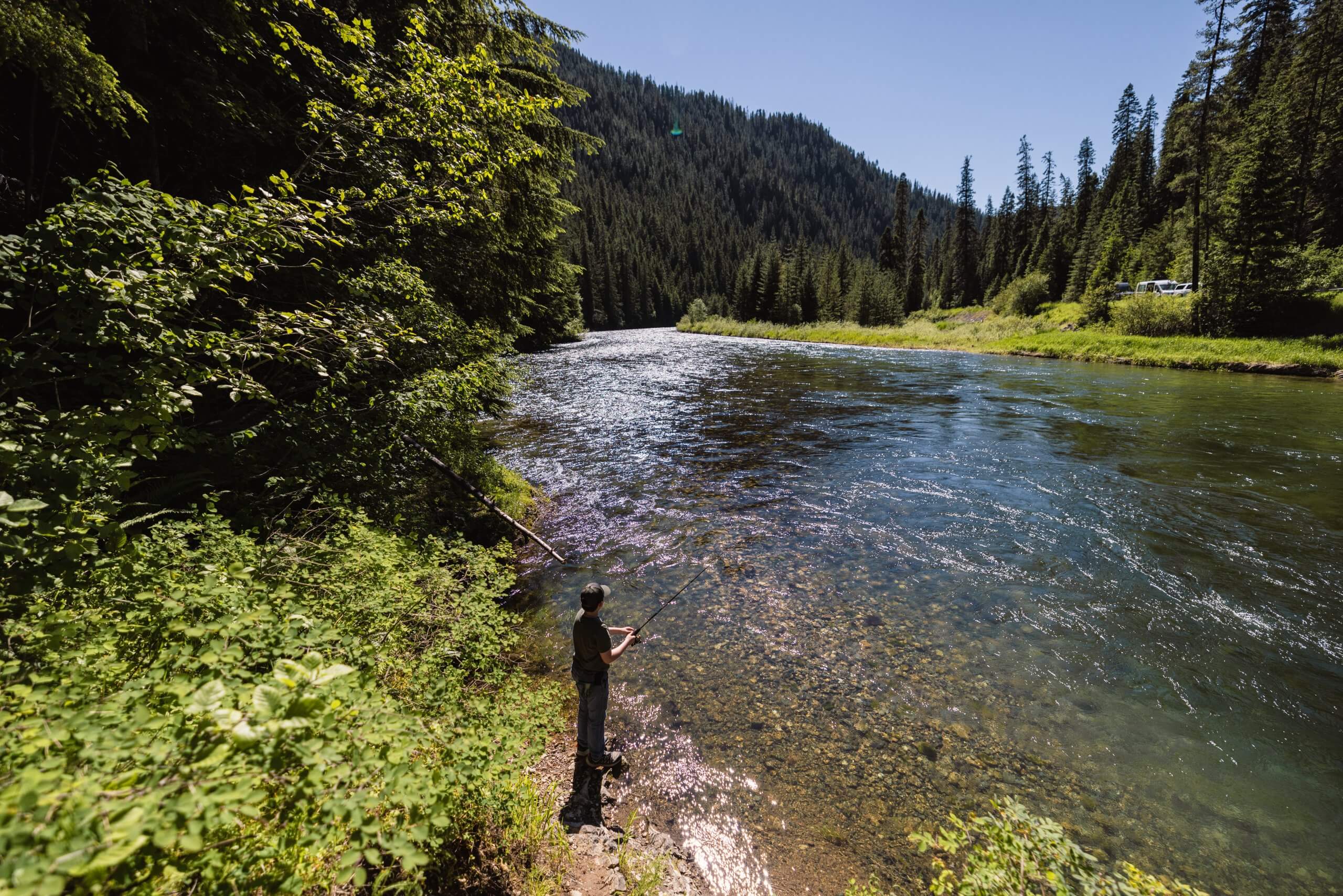 A boy fishing along the shoreline of the Saint Joe River.