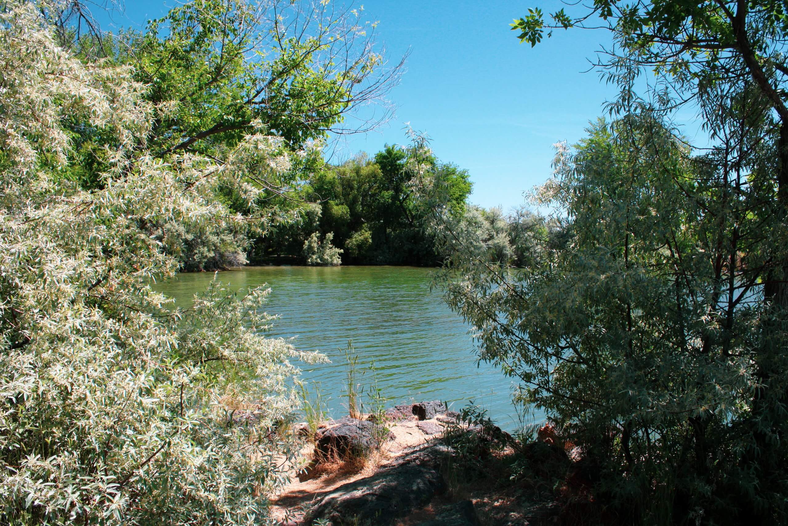 Shore of Lake Walcott at Lake Walcott State Park.