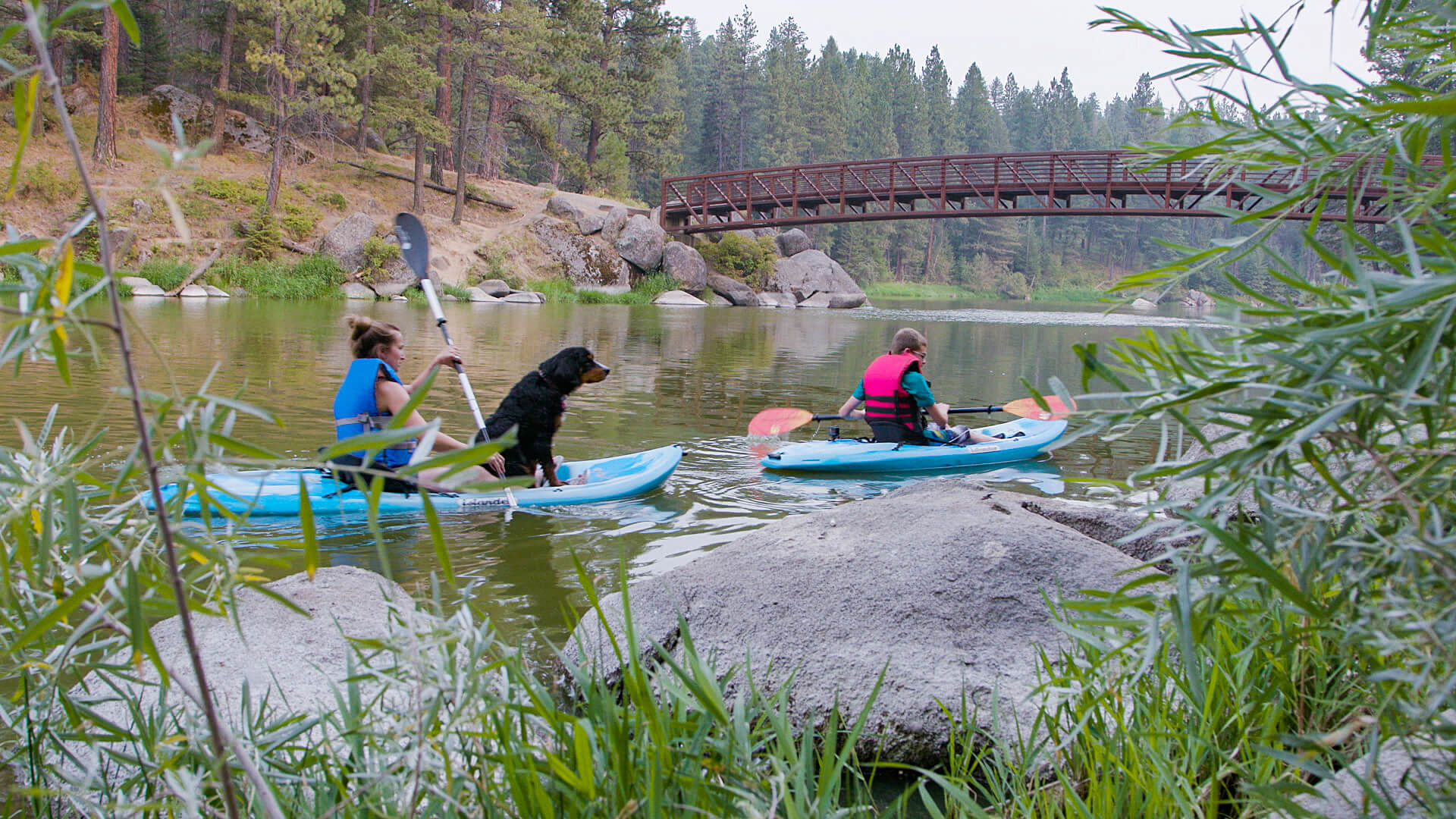 Two people and a dog kayak at Winchester State Park.